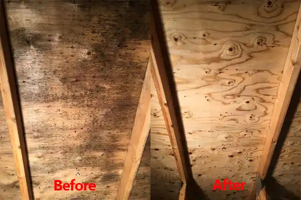 water damage restoration service Mount Healthy